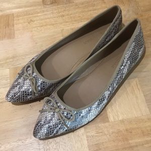 Last Chance ♥️Banana republic pointed flats